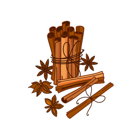 Cinnamon sticks on a white background. Aromatic spice. Seasoning for dishes. Culinary theme. Vector design.のイラスト素材