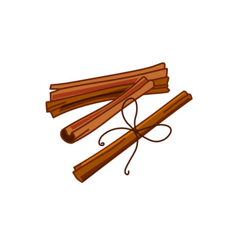 Cinnamon sticks. A flavorful, aromatic spice for cooking, baking, health food, and medical purposes. Vector illustration in cartoon style.のイラスト素材