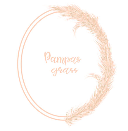 Dry pampas grass frame. Decor of invitations, postcards in the Boho style. Vector illustration.のイラスト素材