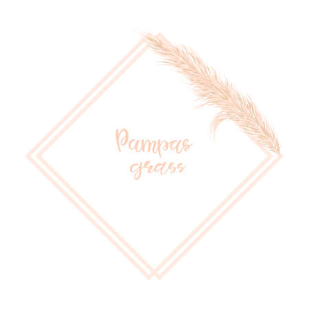 Background with dry pampas grass. Decor of invitations and postcards in the Boho style. Vector illustrationのイラスト素材