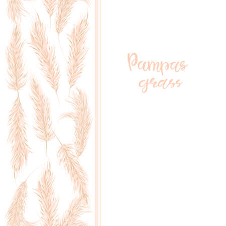 Dry pampas grass seamless border. Boho-style decor. Vector hand drawn illustration.のイラスト素材