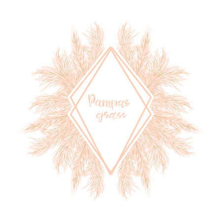 Dry Pampas grass Card template with copy space. Floral ornamental grass decor for invitations, postcards . Vector illustration.のイラスト素材