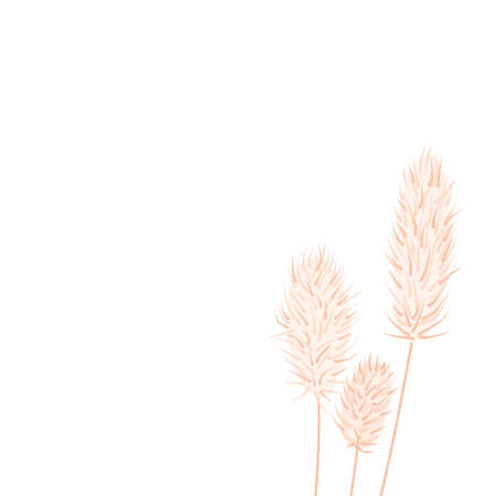 Dry thistle on a white background. Design of postcards, invitations to the wedding. Hand drawn vector background.のイラスト素材
