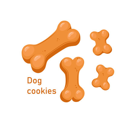 Dog cookie bone set. Dog treat biscuit of different sizes. Vector cartoon illustration on a white isolated backgroundのイラスト素材