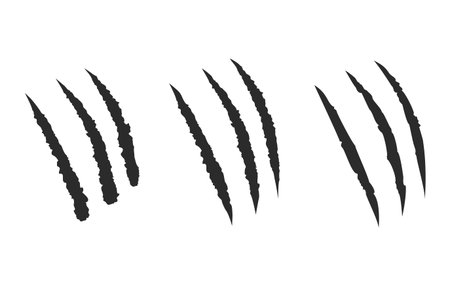 Cat scratch set. Mark of the three claws of the animal. Fun design element. Flat design. Vector illustration.のイラスト素材