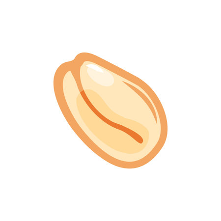 Oat flake on a white isolated background. Oat. Vector cartoon iconのイラスト素材