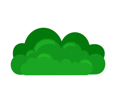 Green bush on a white isolated background. Decorative shrub for the design of a park, garden or green fence.のイラスト素材