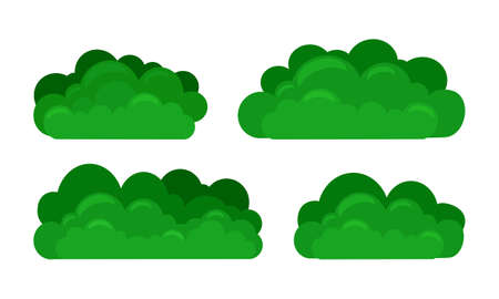 Green bushes set on a white isolated background. Decorative shrub for the design of a park, garden or green fenceのイラスト素材