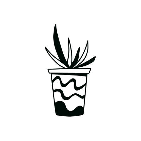 Cactus doodle outline. Element of the nature of plant. Vector hand draw icon.のイラスト素材