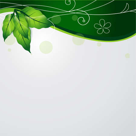 Spring background with green leaves on trendy white background. Vector illustration. Fresh template designs for posters, flyers, brochures or vouchers.のイラスト素材