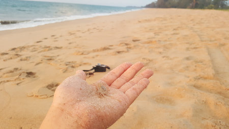 Lady on the beach with tiny crab on her palm .