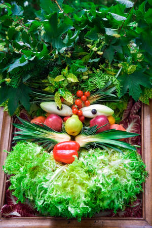 Human face of vegetables and fruits, in the manner of Arcimboldi or Arcimboldo.の写真素材