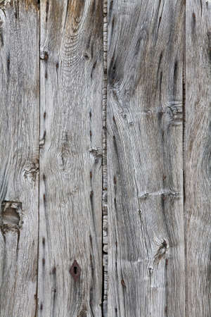 Old wooden doorの写真素材
