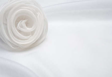 White satin rose.の写真素材
