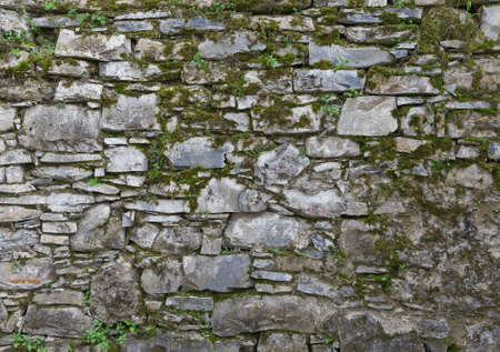 Old wall with muskの写真素材