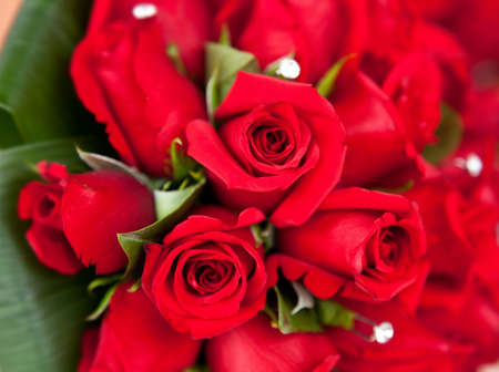 Close up of bouquet of red roses.の写真素材