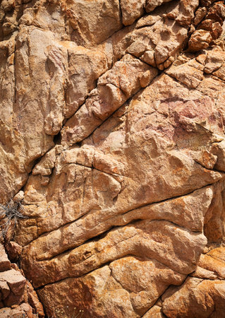 Close-up of stones in sunny day.