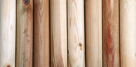 Wooden background (detail of wood timber)の写真素材