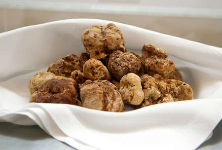 Group of Italian white trufflesの写真素材