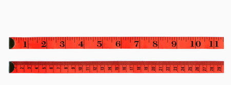 Red rules, the first in inches, the second in centimeter