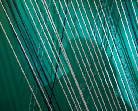 Abstract background ( Green background with ropes and shadows)の写真素材