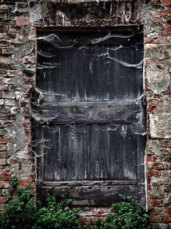 Old closed door ( Halloween background with creative effects)の写真素材