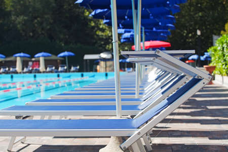 Row of deckchairs in summerの写真素材