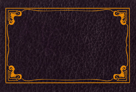 Black and gold  leather book cover