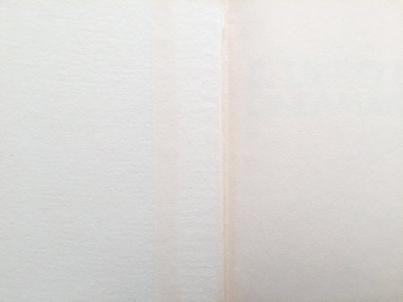 Clear Pages of old book