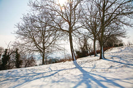 Winter in Astigiano, Piedmont, Italy.の写真素材