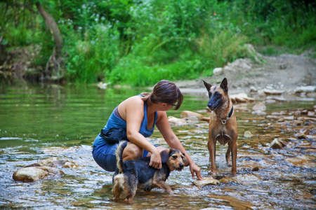 Young woman with her dogs in a small strem in the North of Italy, Piedmont. の写真素材