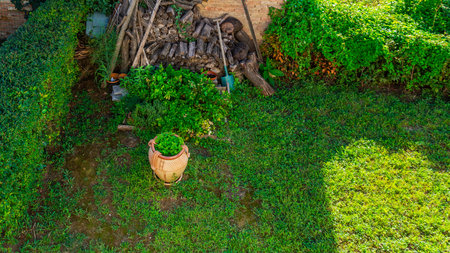 Corner of a garden seen from above with cultivation of aromatic herbs and wood