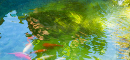 Vivid background with a detail of a little lake with fishの写真素材