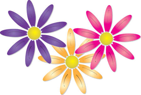 Vector illustration of three pretty spring flowers or daisies in colourful orange  pink and purple overlapping and isolated on a whiteのイラスト素材