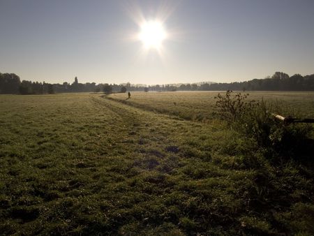 Walking the dog in the morning sunの写真素材