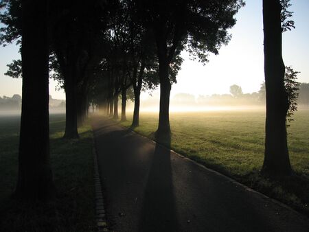 Alley with morning sun and fogの写真素材