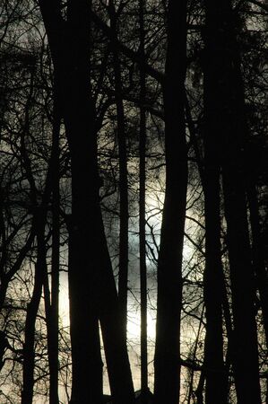 Strange Winter Sky Colorsの写真素材