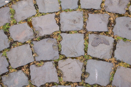 roughtly hewn stone walkway with grass growing in betweenの写真素材