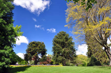 The English style botanical gardens at Queenstown, New Zealand の写真素材