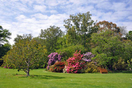 The English style Botanical Gardens, Christchurch, New Zealand の写真素材