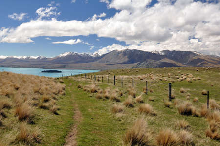 Wilderness walk from Mount John to Lake Tepako , New Zealand の写真素材