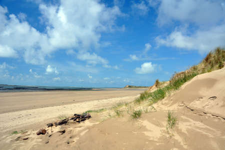 Sand dunes in North devonの写真素材