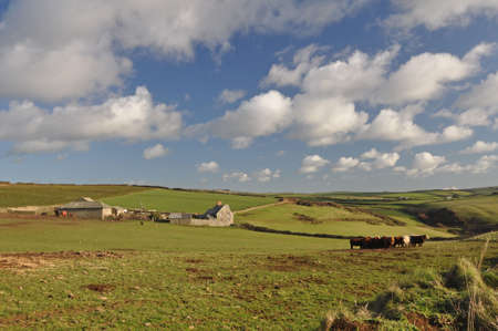 Croydehoe Farm on the clifftop at Baggy Point, Croyde, North Devon, Englandの写真素材