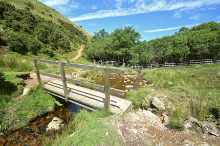 Public path along the shore at Meldon Reservoir on Dartmoor, England, Taken from Longstone Hill looking towards Homerton Hillの写真素材