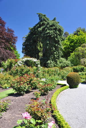 Walkway at the Rose Garden in the Botanical Gardens in Christchurch, New Zealand.の写真素材