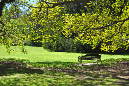 A shaded seat at the Botanical Gardens, Christchurch, New Zealand.の写真素材