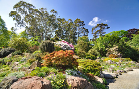 Rock Garden path at the Botanical Gardens in Christchurch, New Zealand.の写真素材