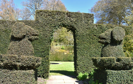 A pair of clipped topiary dogs, made from a hedge at Knightshayes, Tioverton, Mide Devon, England,のeditorial素材