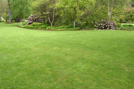 A perfectly manicured country garden in the english style with a sweeping pristine lawn edged with a beautiful border filled with colourful plants, shrubs and small trees. Simply perfect.の写真素材