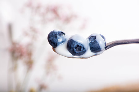 Juicy and fresh blueberries on the spoon with yogurt. Bilberry on the white table background. Blueberry antioxidant. Concept for healthy eating and nutrition.の写真素材
